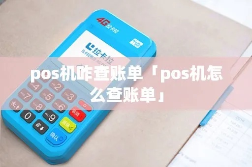 pos机怎么看月账单（POS机账单查询方法）