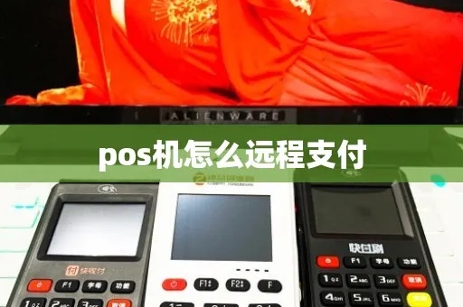 Pos机远程付款教程（详细讲解pos机如何实现远程支付）