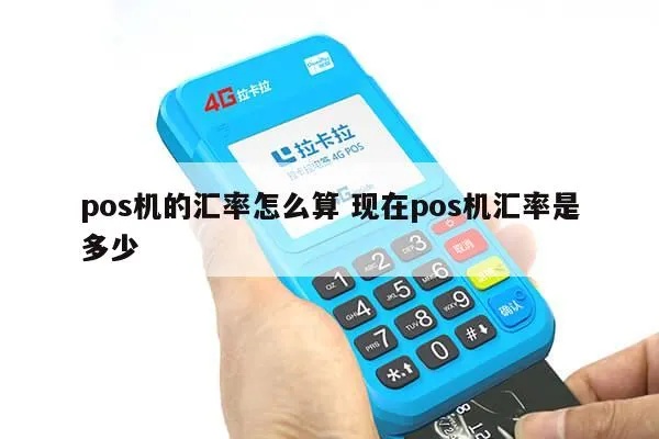 如何计算POS机外币交易汇率,POS机外币交易费用计算公式