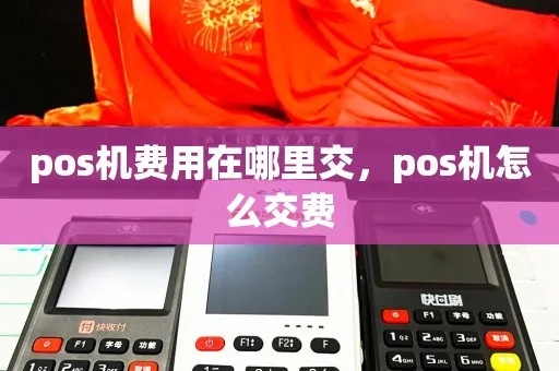 pos机网费怎么交（POS机网费缴纳方式解析）