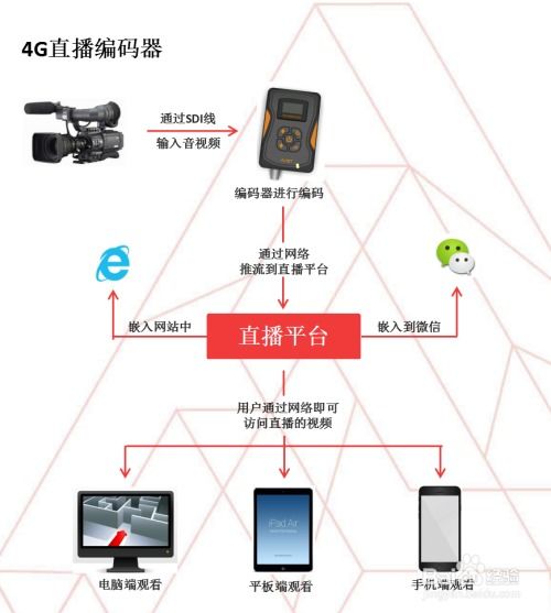 POS机编码的神秘世界，探索其工作原理与应用