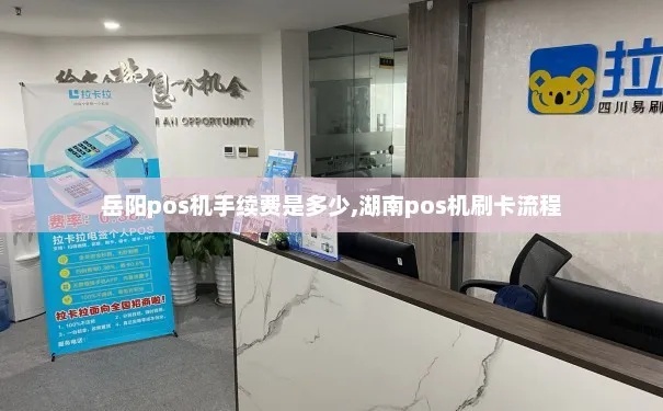 探索岳阳 POS 机购买之旅—— 从品牌选择到实际应用，一站式指南助您轻松购得理想 POS 机