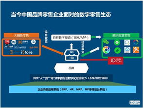 探索回收Pos机的渠道和策略，一次全面的指南