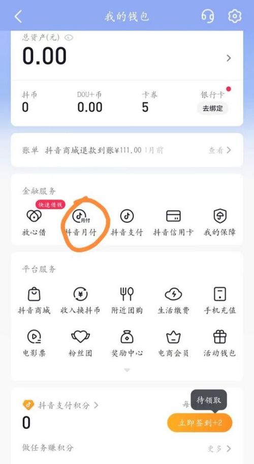 抖音月付金额套出来，实现方法与注意事项