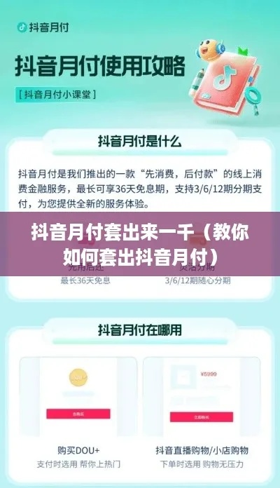 抖音月付套出来找哪里，一份详细的指南