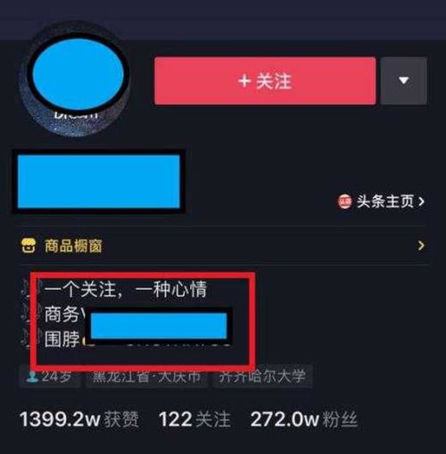 揭秘抖音月付套现技巧，让你轻松赚钱！