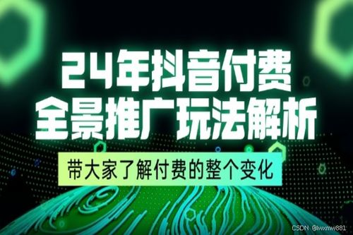 抖音月付套出来24小时在线，实现方法、风险及注意事项