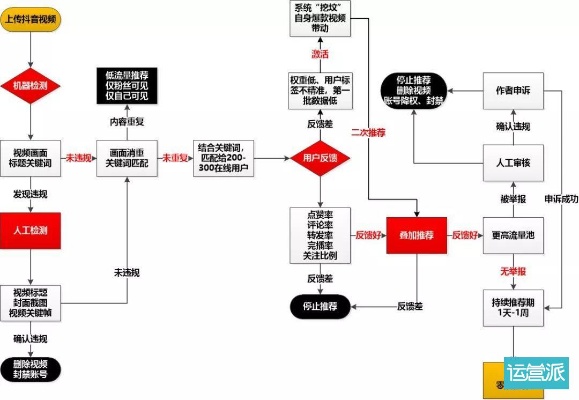 抖音月付套出来商家操作全流程揭秘，如何合法合规实现资金流转