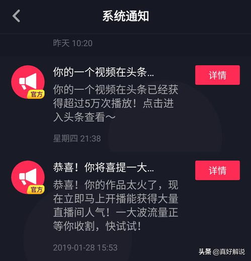 揭秘抖音月付套出来回款真实性，一场关于金融风险的游戏