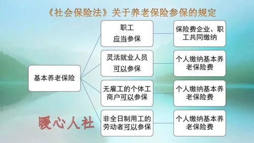 德宏POS机办理全攻略，哪里办理、办理流程、注意事项一应俱全