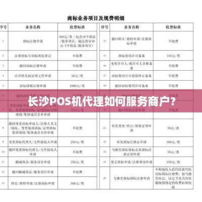 长沙POS机申请办理全方位指南，让你轻松拥有自己的商家收款神器