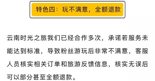 美团月付如果套出来，违法犯罪行为的解析