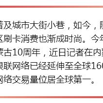 内蒙古地区POS机办理指南，一文解析所有你需要知道的信息