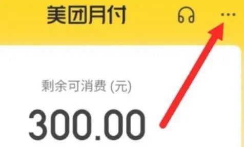 美团月付金额怎么套出来？