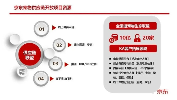 南京京东企业金采套，实现高效采购与供应链管理的利器