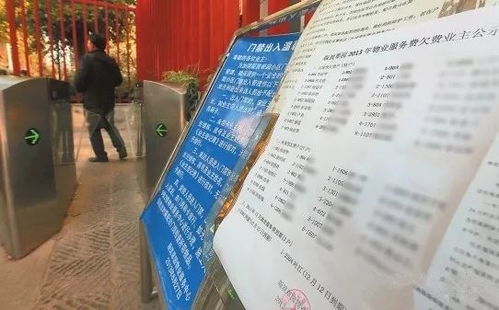 乘客与酒店记录，隐私权与安全的微妙平衡