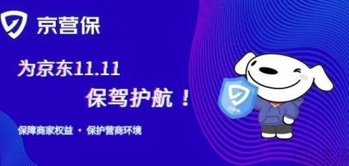 林州市京东企业金采套出来公司，助力企业实现高效融资