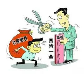 医保的钱可以取现吗？——揭开医保背后的真相