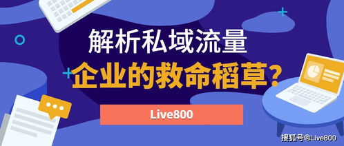 深入解析京东企业金采秒套操作流程与费用，助你轻松获取企业采购优惠！