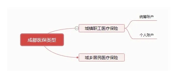 成都医保买药取现流程视频，详细解析每一步操作