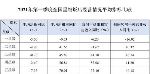 怎么查酒店数量统计记录