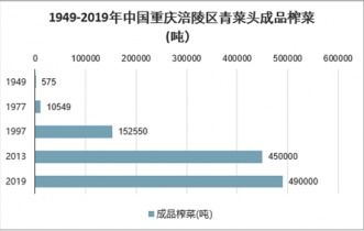 石家庄医保余额可以取现:深度解析医保资金的使用途径和影响