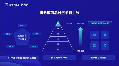 深度解析，快手先用后付套出来多少手续费？ - 探索电商新模式下的消费行为与风险