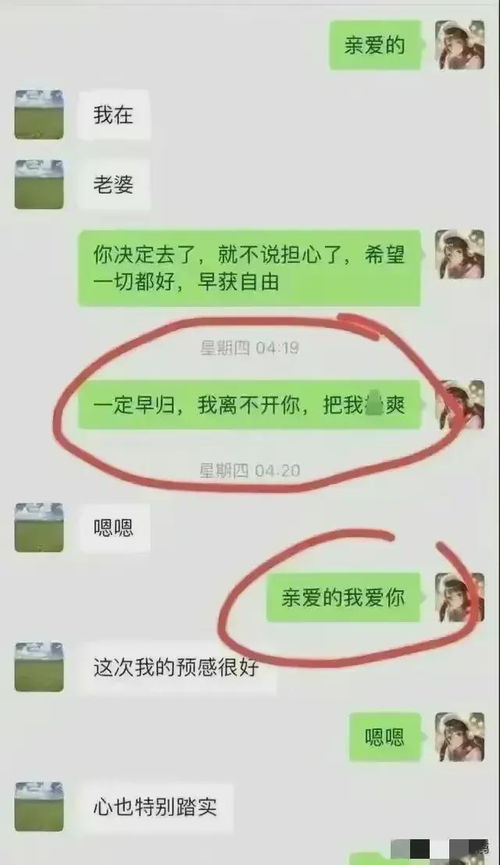 男子寻求网友查酒店记录，引发隐私与道德争议