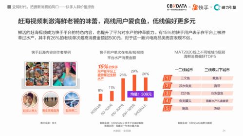 揭秘快手先用后付秒套出来，费用、流程与安全全解析