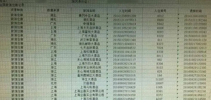 入住记录查询，酒店入住信息检索