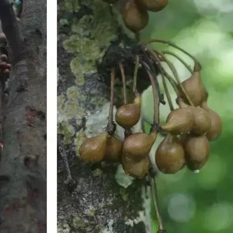 医保断交异地取现，常见问题解答及操作指南