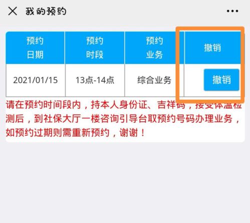 公积金按比例取现，详细指南与操作步骤