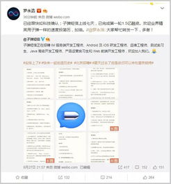 隐私与安全，探讨酒店查码记录信息的社会影响