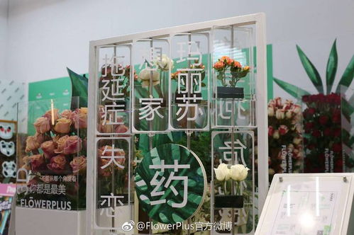 微店放心花套出来商铺——让创业更简单，让生活更美好