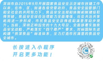 酒店后厨食品安全监管，工商查酒店后厨记录表格的重要性与应用