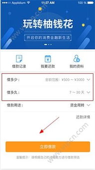 微店放心花套出来的钱怎么还？——解析微店的借贷模式与还款策略