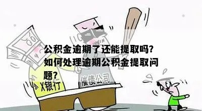 公积金逾期后多久可以取现，详细指南与建议