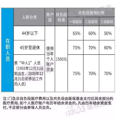 探秘上海医保取现江湖，揭秘EAI618冰的神秘面纱