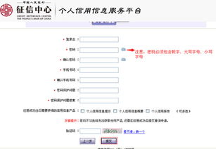 征信怎么查酒店记录查询，揭开个人信用报告的神秘面纱