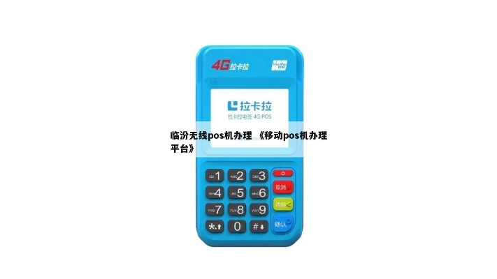 临汾平阳广场，探索 POS 机办理的完整指南