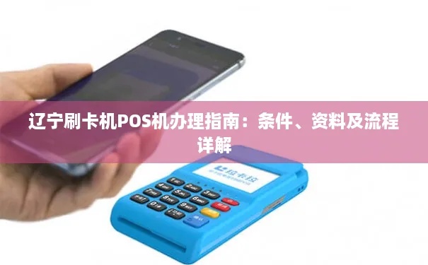 长岛 POS 机办理全攻略，哪里办、怎么办、需要什么资料？