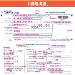 南靖县办理POS机业务指南，哪里可以办理、需要哪些材料和流程详解