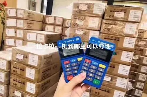 在大连办理拉卡拉POS机的全方位指南