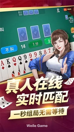 微乐辽宁棋牌斗地主挂，微乐辽宁棋牌斗地主挂，违法犯罪行为的探讨