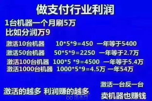 选择最佳POS机办理途径——便捷、安全与成本效益的权衡