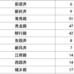 探索上海奉贤区，办理POS机的最佳地点全指南