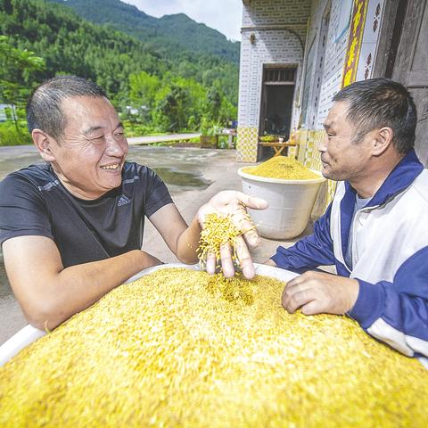 四川POS机代理市场分析与机遇探索