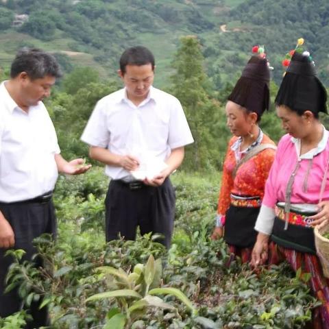 办理烟草POS机利弊分析及案例分享